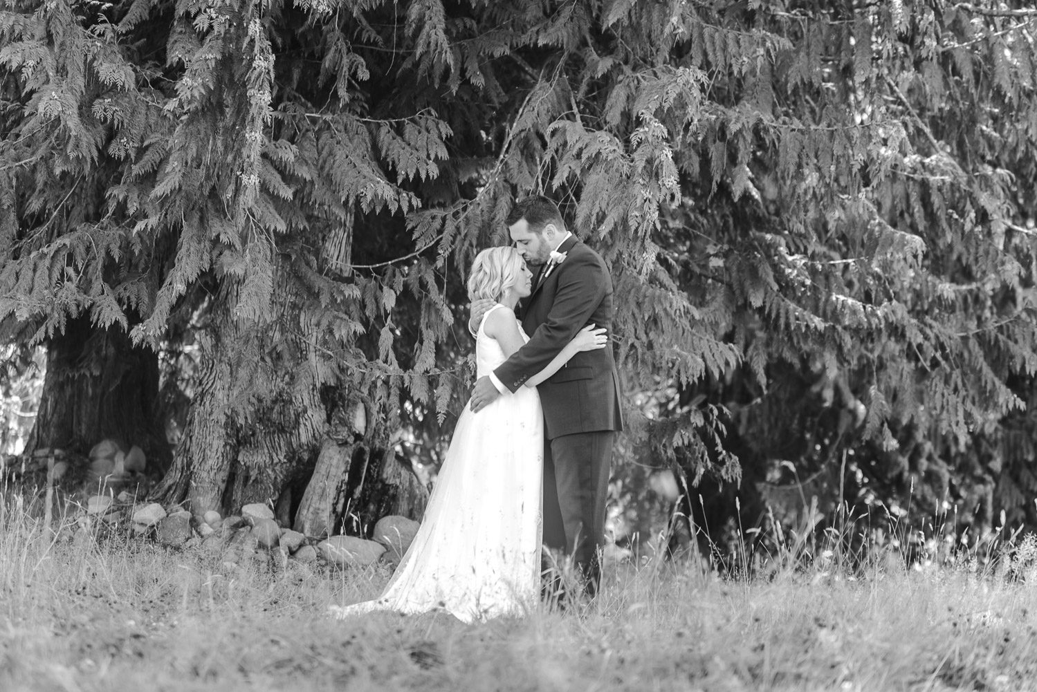 Seattle Wedding Photographer Lessie Blue Photography Wedding Photographers Seattle 7974