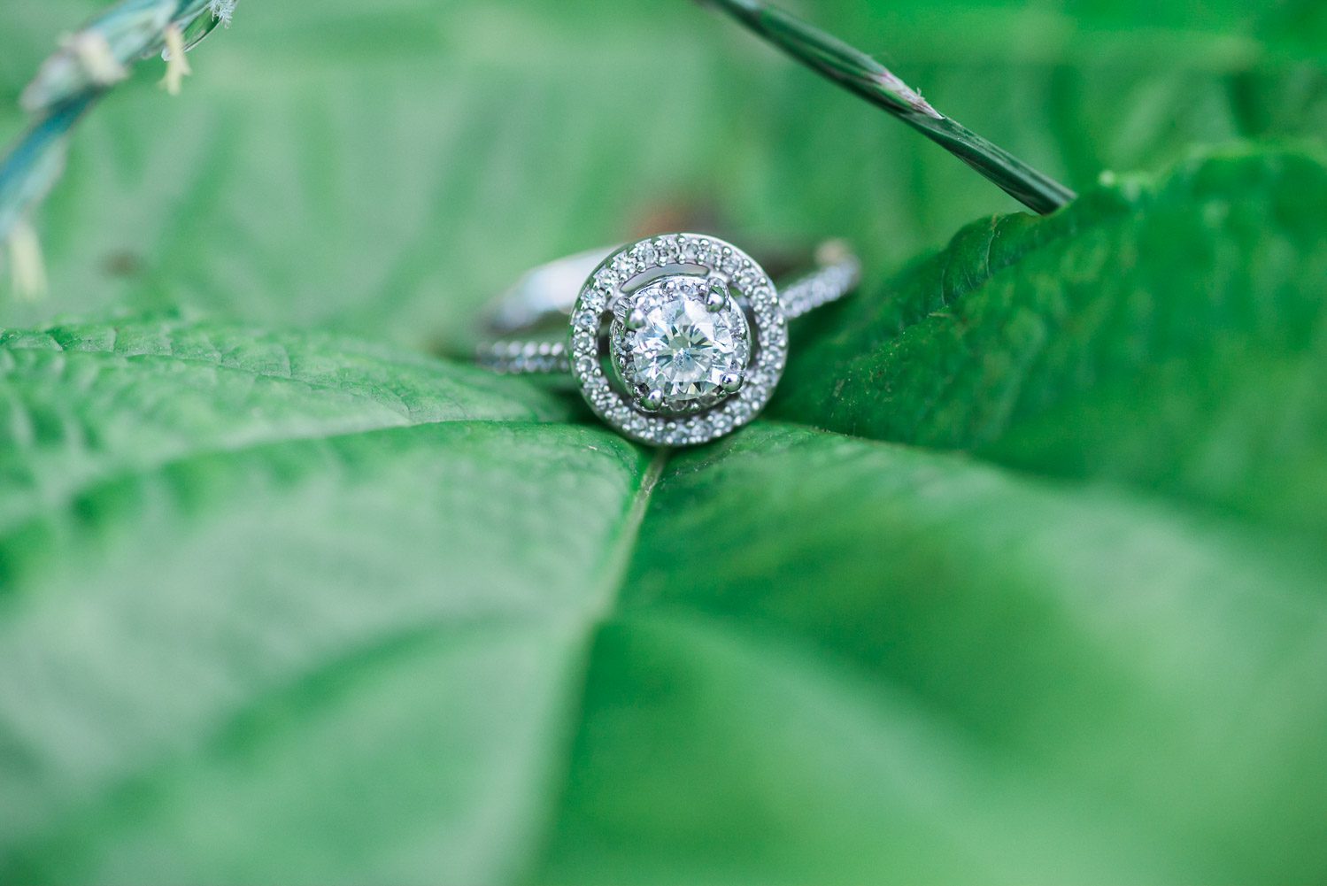 Seattle Wedding Photographer Lessie Blue Photography Wedding Photographers Seattle 3654