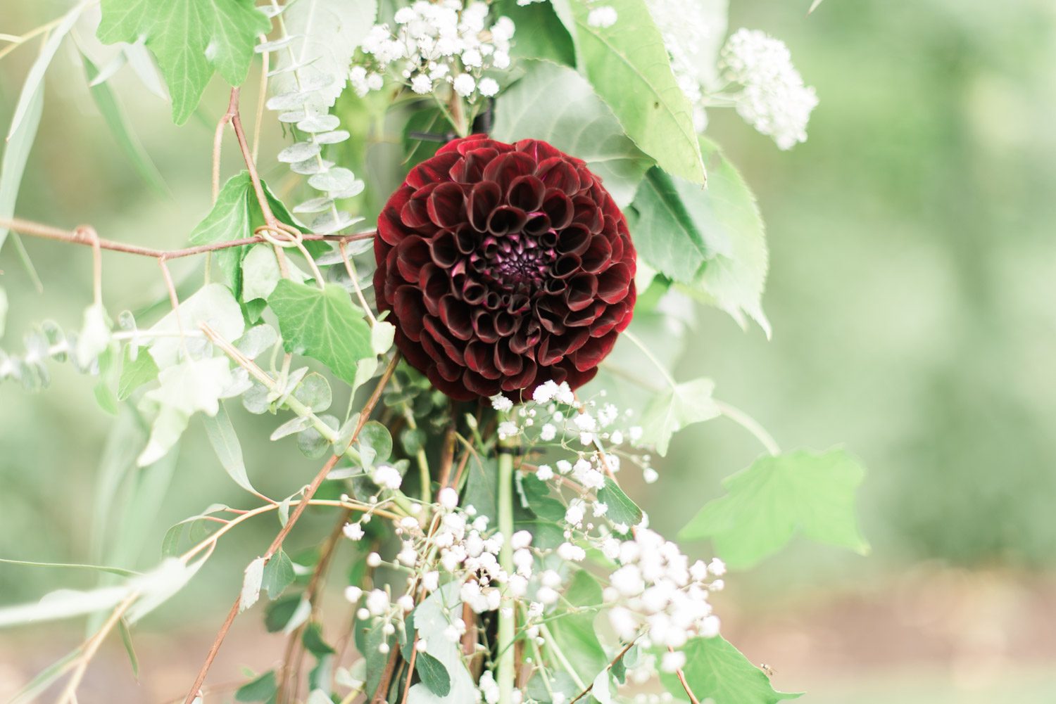 Seattle Wedding Photographer Lessie Blue Photography Wedding Photographers Seattle Shooting Star Event Gardens Maple Valley Wedding 0640