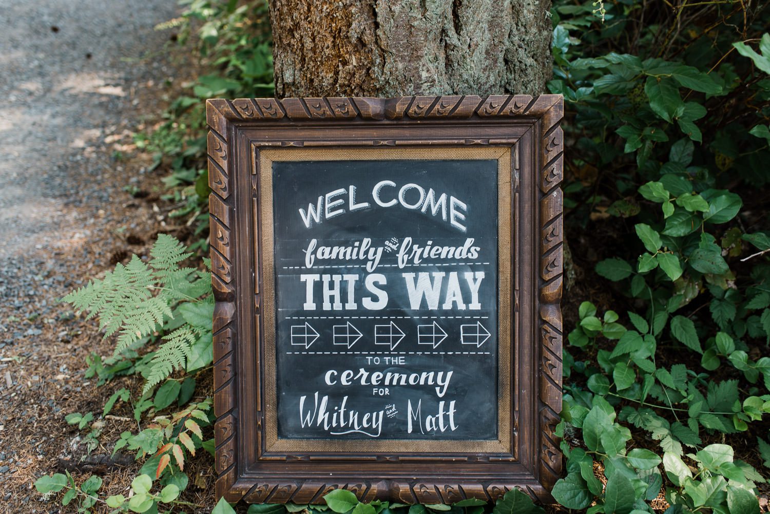 northwest trek wedding photos
