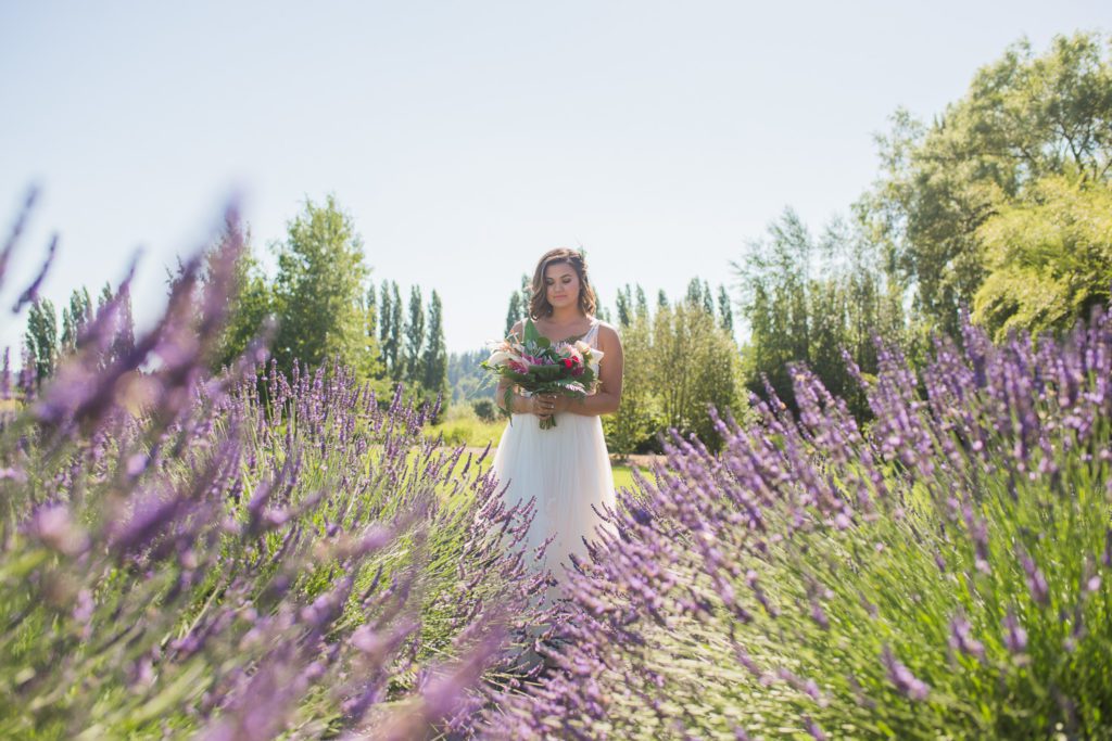 Tacoma Wedding Photographer Lavendar fields Woodinville 4698