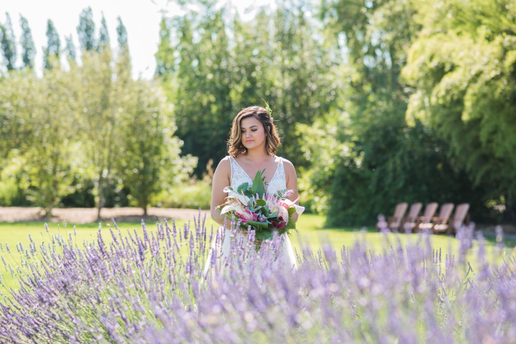 Tacoma Wedding Photographer Lavendar fields Woodinville 7496