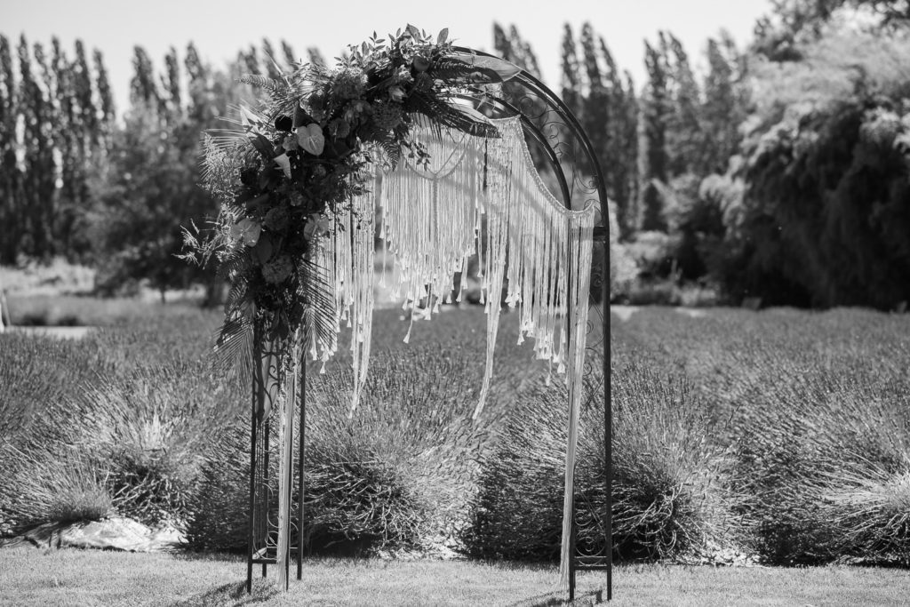 Tacoma Wedding Photographer Lavendar fields Woodinville 7716